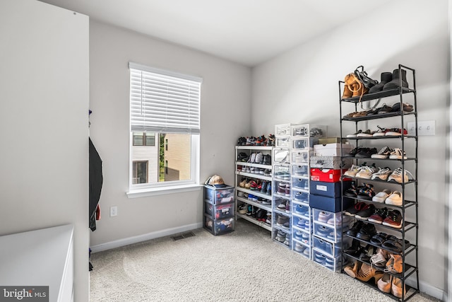 walk in closet featuring carpet flooring