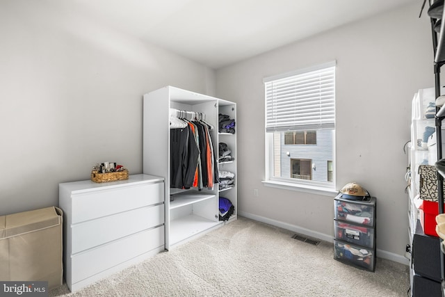 spacious closet with light colored carpet