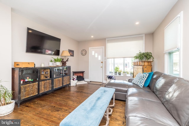 living room with dark hardwood / wood-style flooring