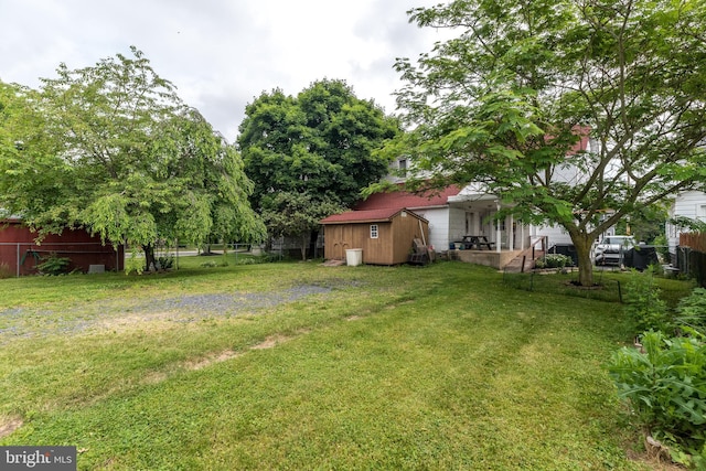 view of yard featuring a storage shed