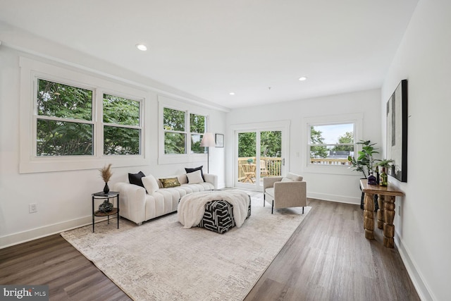 living room featuring dark hardwood / wood-style floors