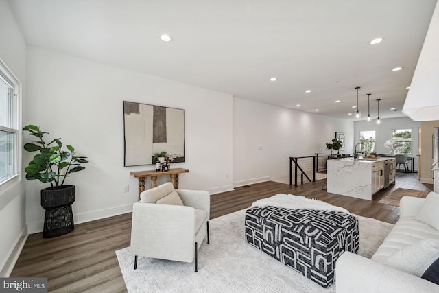 living room featuring sink and hardwood / wood-style flooring