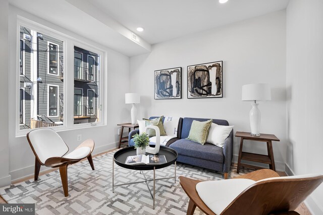 living room featuring a healthy amount of sunlight and light hardwood / wood-style floors