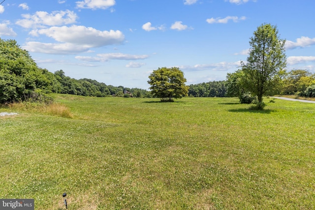 view of yard featuring a rural view