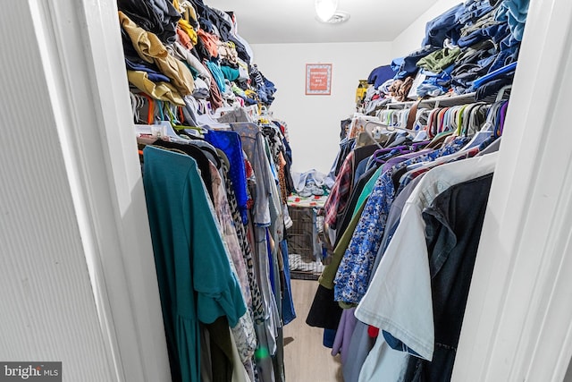 view of walk in closet