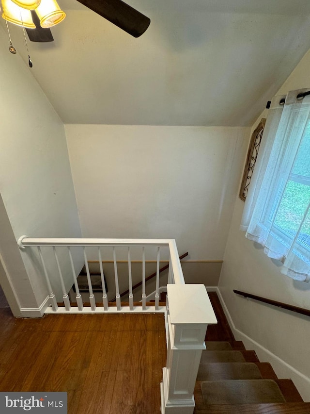 staircase featuring hardwood / wood-style flooring and ceiling fan