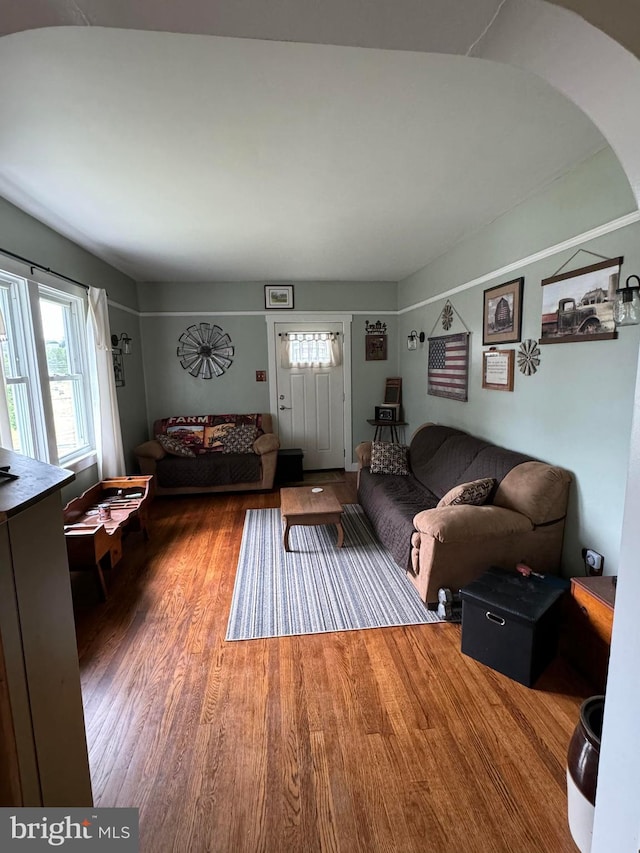 living room with hardwood / wood-style flooring