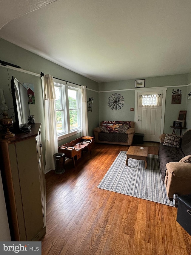 living room featuring wood-type flooring