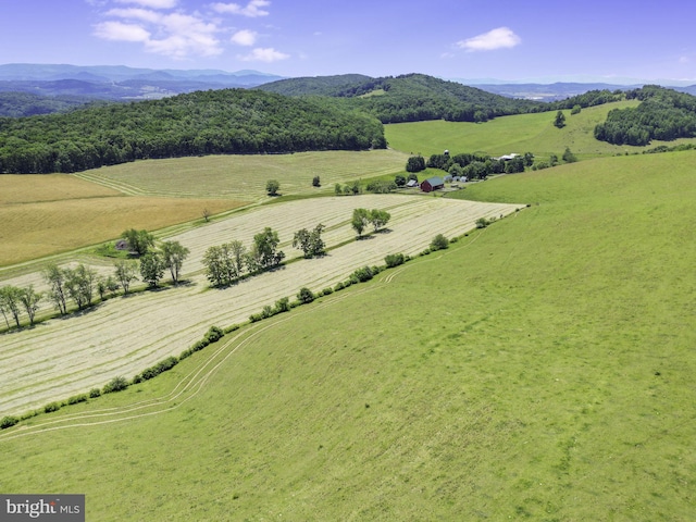 birds eye view of property with a mountain view and a rural view