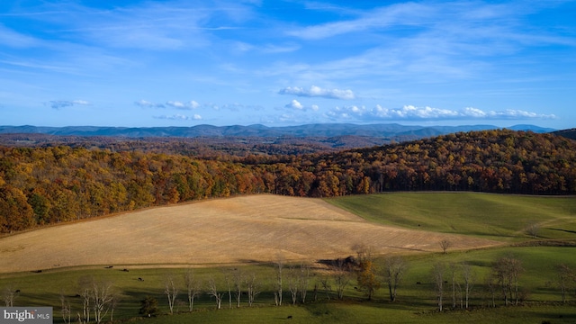 view of mountain feature