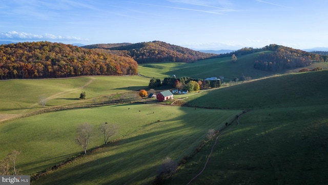 view of mountain feature with a rural view