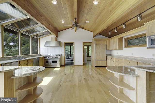 kitchen featuring light hardwood / wood-style flooring, track lighting, vaulted ceiling, and appliances with stainless steel finishes