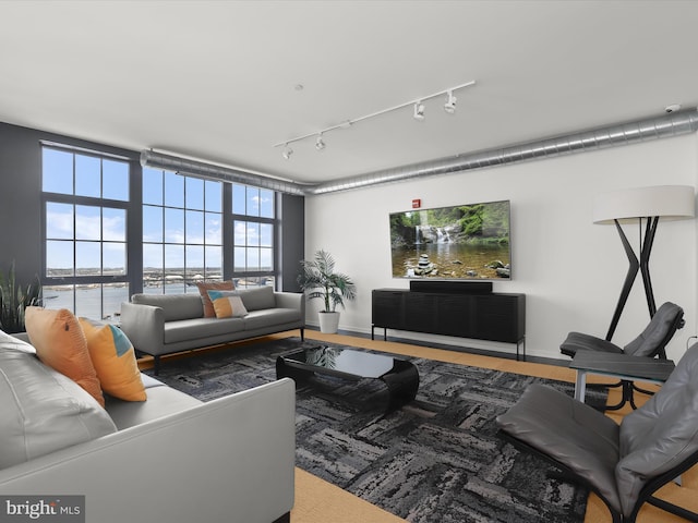 living room featuring a wealth of natural light, track lighting, and baseboards