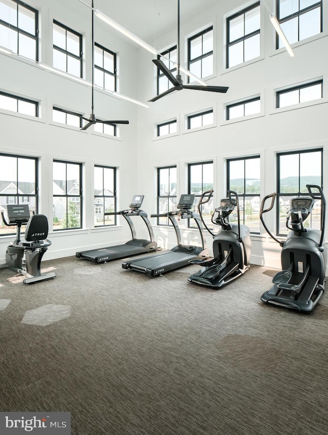 gym featuring carpet, plenty of natural light, and a high ceiling