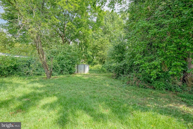 view of yard featuring a storage unit