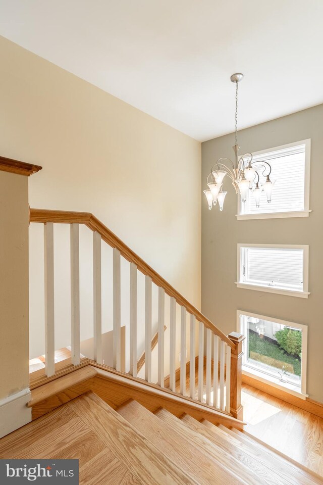 carpeted bedroom featuring a closet, a spacious closet, ceiling fan, and a tray ceiling