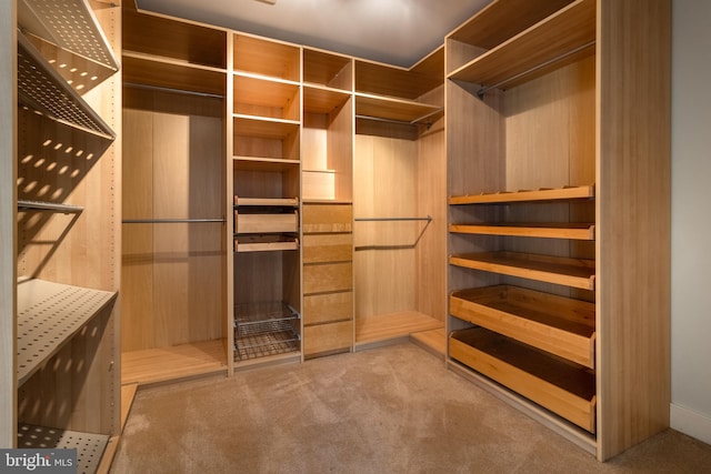 spacious closet with light carpet