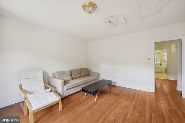 living room with hardwood / wood-style flooring