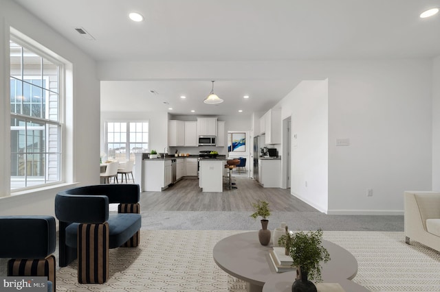 living room with light hardwood / wood-style floors, plenty of natural light, and sink