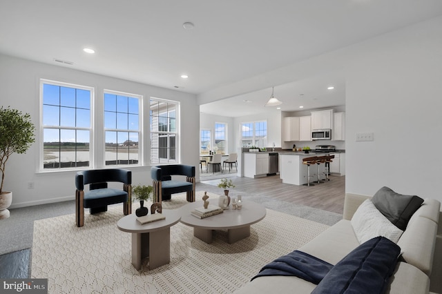 living room featuring light hardwood / wood-style floors