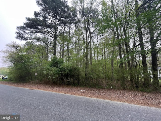 Listing photo 3 for Nelpine Rd, Preston MD 21655