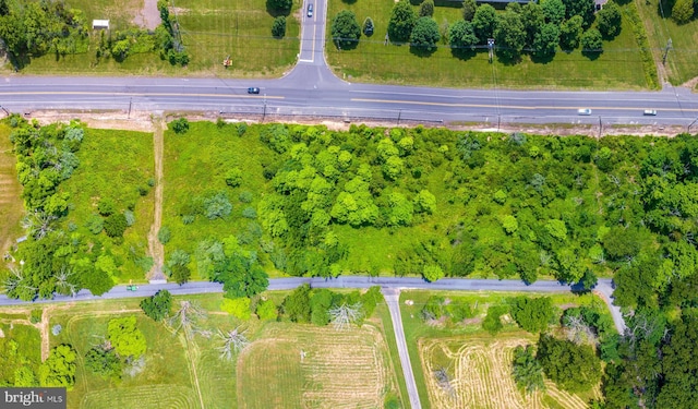 311 Hwy, Flemington, NJ 08822