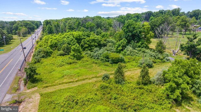 311 Hwy, Flemington, NJ 08822