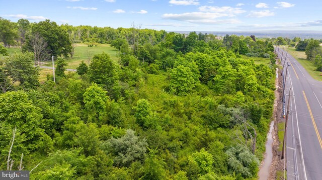 311 Hwy, Flemington, NJ 08822