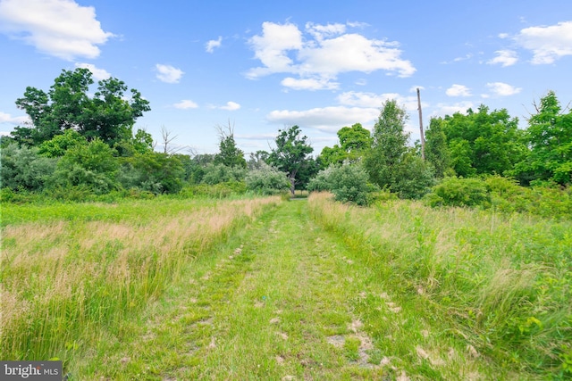 311 Hwy, Flemington, NJ 08822