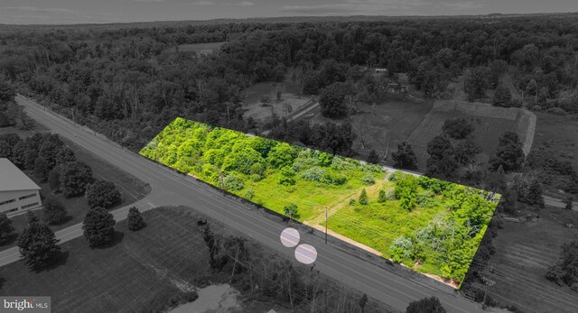 311 Hwy, Flemington, NJ 08822