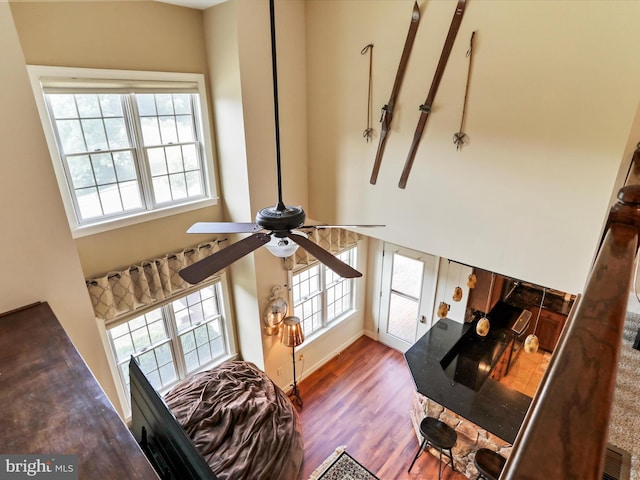 living room with ceiling fan and hardwood / wood-style flooring