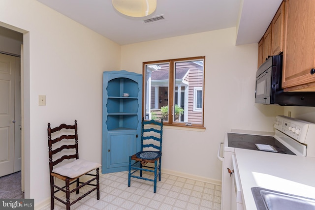 kitchen featuring electric stove