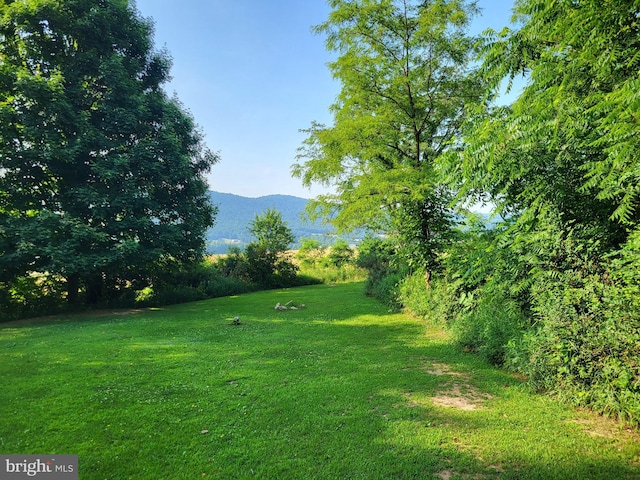 view of yard with a mountain view