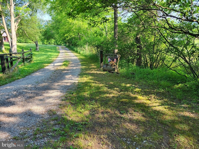 view of road