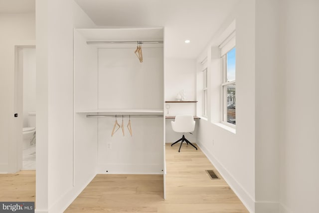 walk in closet with light hardwood / wood-style floors