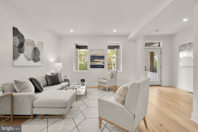 living room featuring light hardwood / wood-style floors