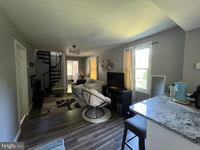 living room with dark wood-type flooring