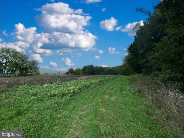 view of landscape featuring a rural view