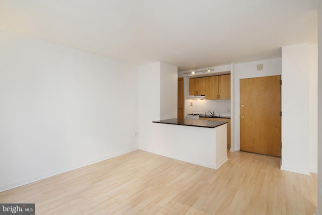 kitchen with kitchen peninsula and light hardwood / wood-style flooring