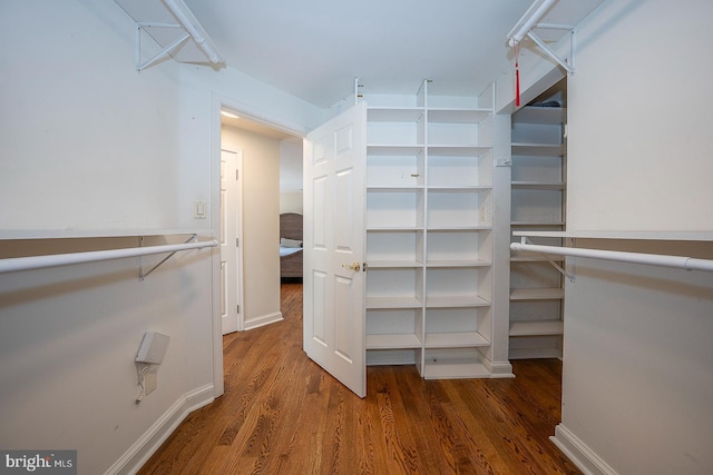 walk in closet featuring dark hardwood / wood-style floors