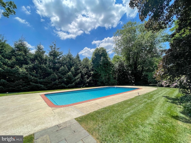 view of pool with a lawn and a patio