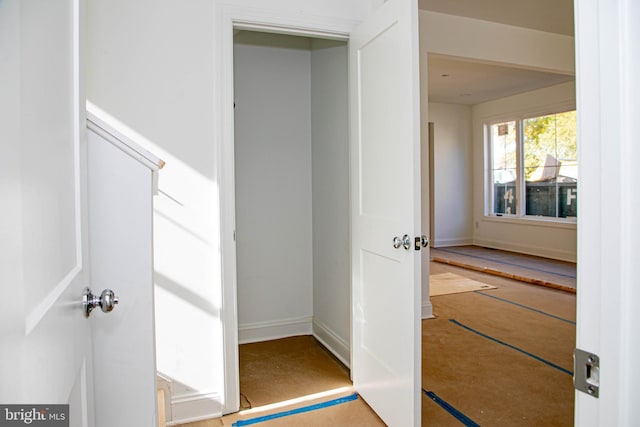 view of closet