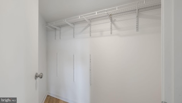 walk in closet featuring hardwood / wood-style flooring