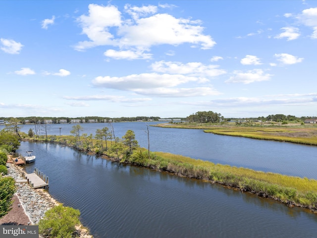 property view of water