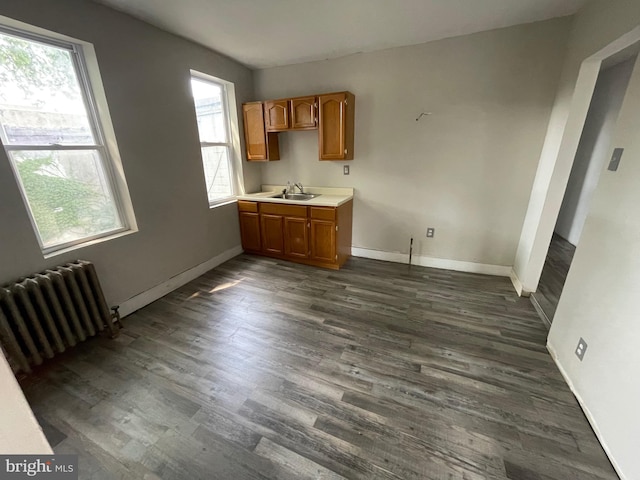 kitchen featuring plenty of natural light, sink, radiator heating unit, and dark wood-type flooring