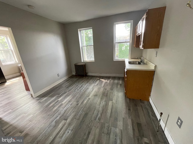 unfurnished dining area featuring a wealth of natural light, dark hardwood / wood-style floors, radiator, and sink