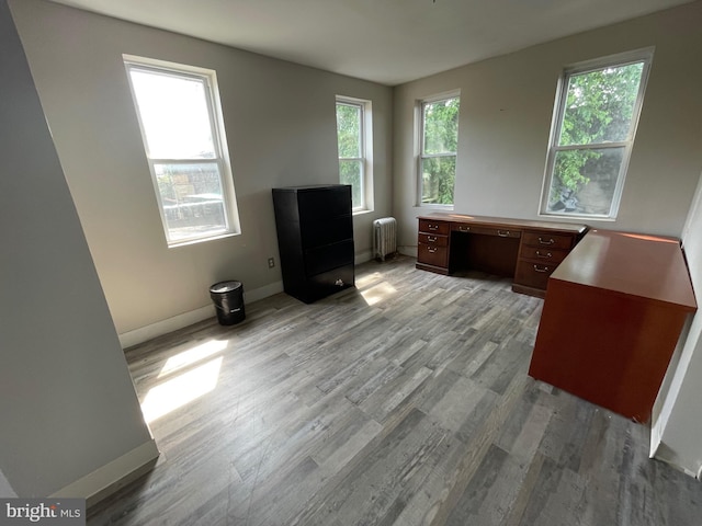 office space featuring radiator heating unit and light hardwood / wood-style flooring