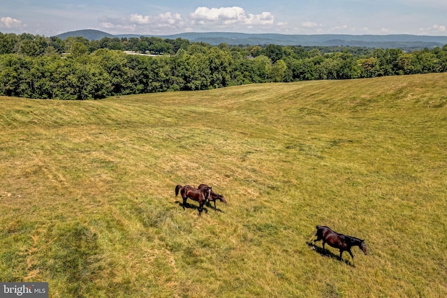 Winchester Rd, Delaplane VA, 20144 land for sale