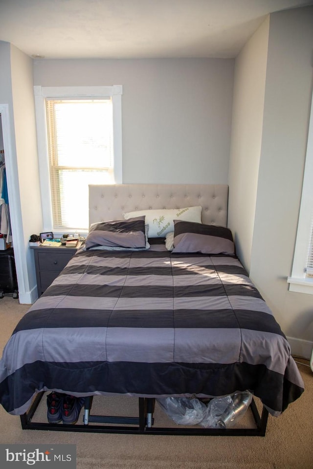 bedroom with carpet flooring