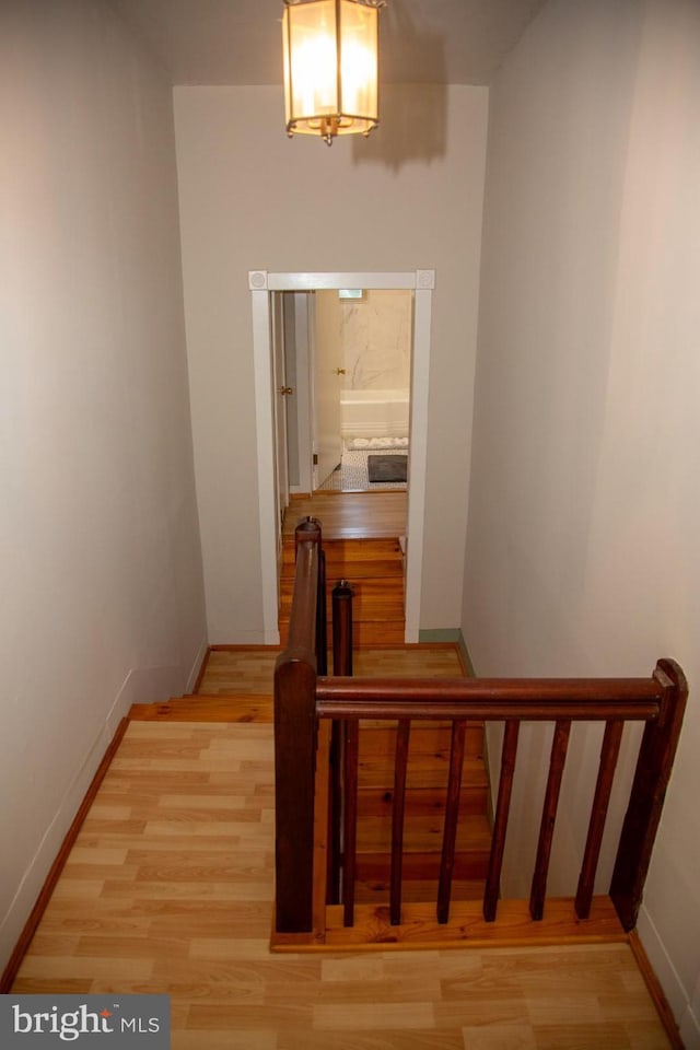 stairway featuring wood-type flooring